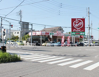 1.左手に「アップル日進岩崎店」がある信号を左折してください。