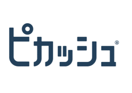 3ヶ月に1回でスッキリ！　入れ歯メインテナンス「ピカッシュ」