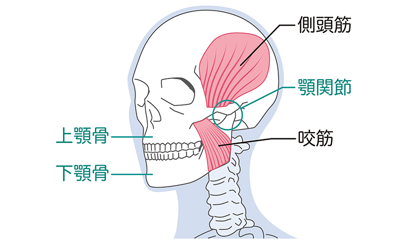 こんな症状でお悩みではありませんか？